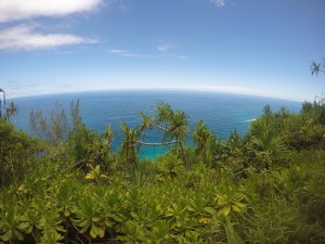 View from hiking trail  